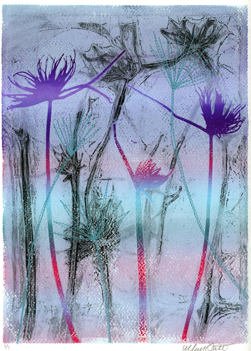 Firework Grasses 2 by Maren Oates 