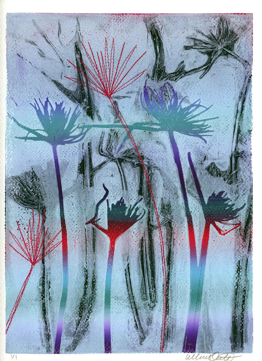 Firework Grasses 4 by Maren Oates 
