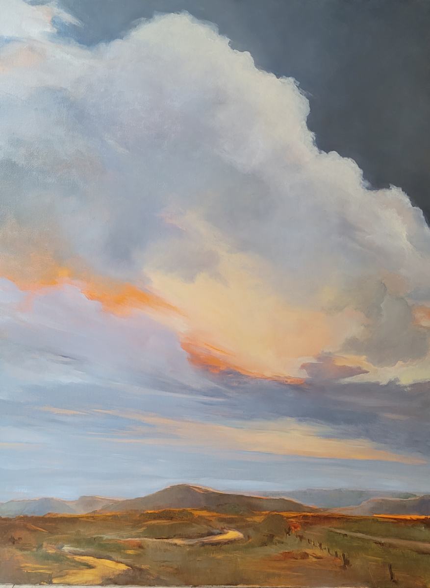 Western Sky by Barbara Henris 