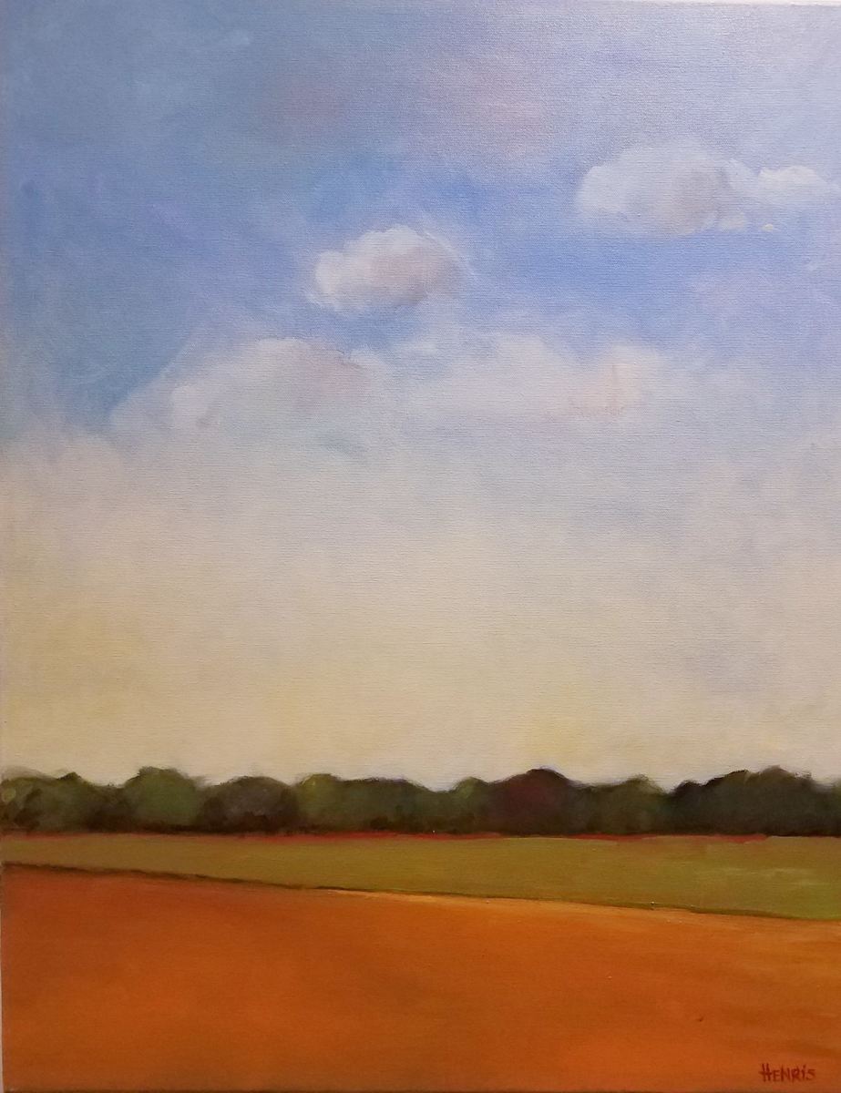 Swing for the Trees by Barbara Henris 