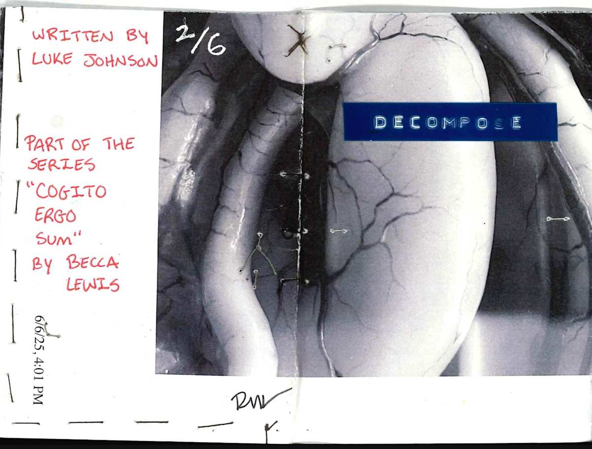 DECOMPOSE zine 2 by Becca Lewis 