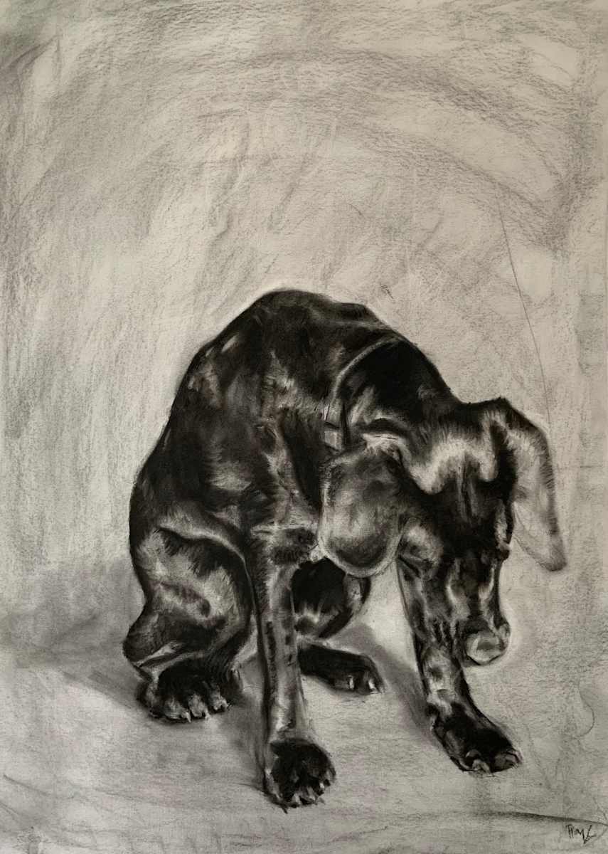 Charlie by Becca Lewis 
