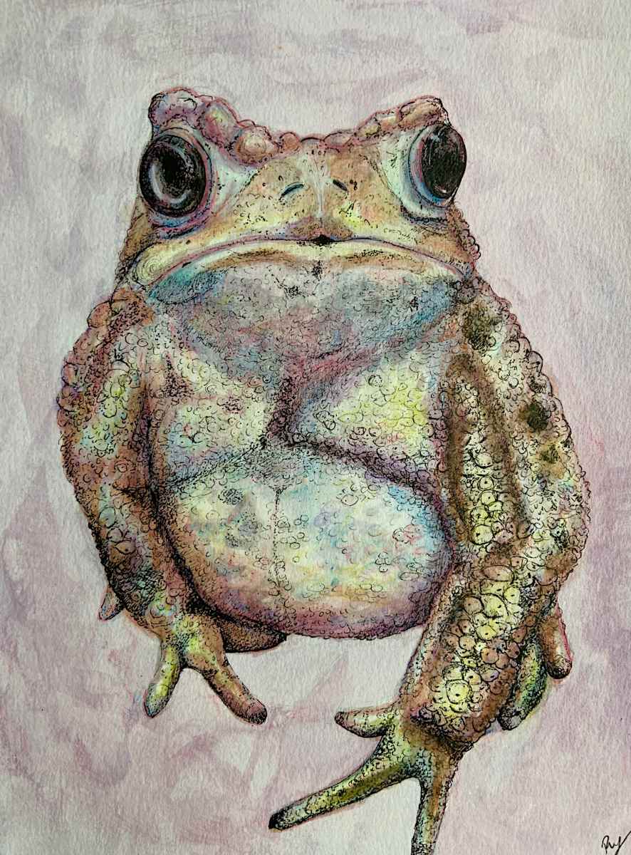 Toad by Becca Lewis 