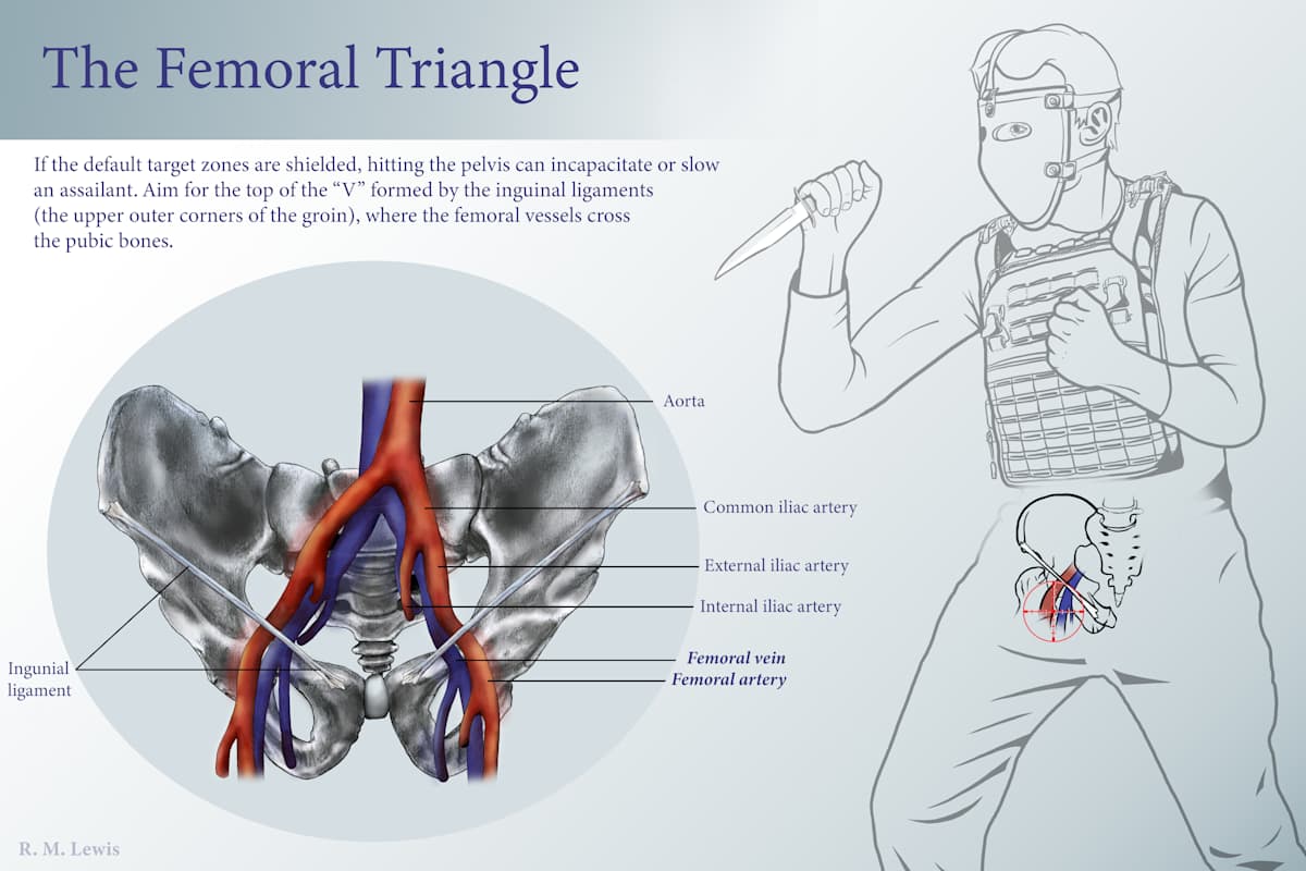 The Femoral Triangle by Becca Lewis  Image: Editorial for the article: “Where to shoot a kidnapper,” commissioned by George Hupp
