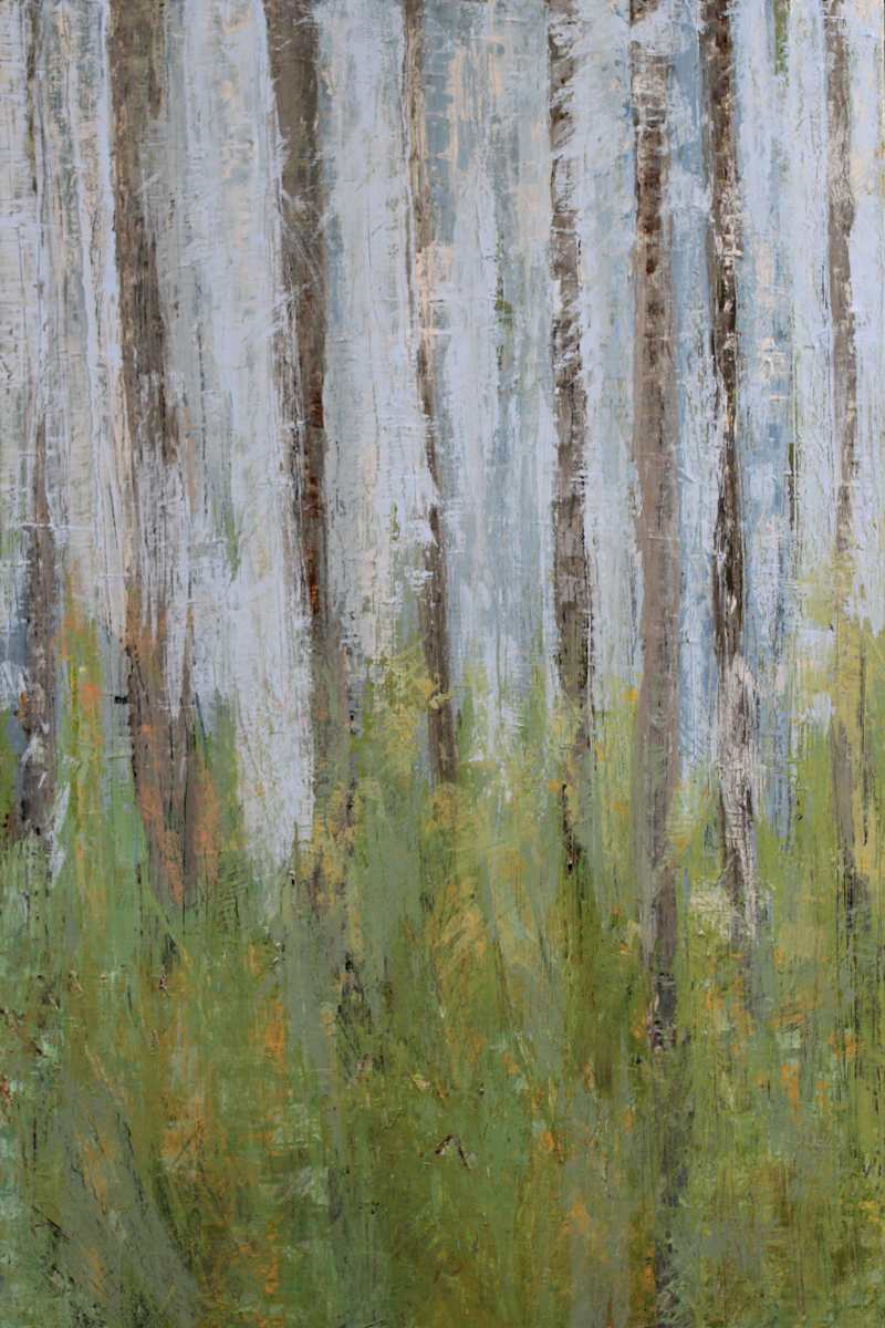 Fog in the Woods by Susan G Stewart 