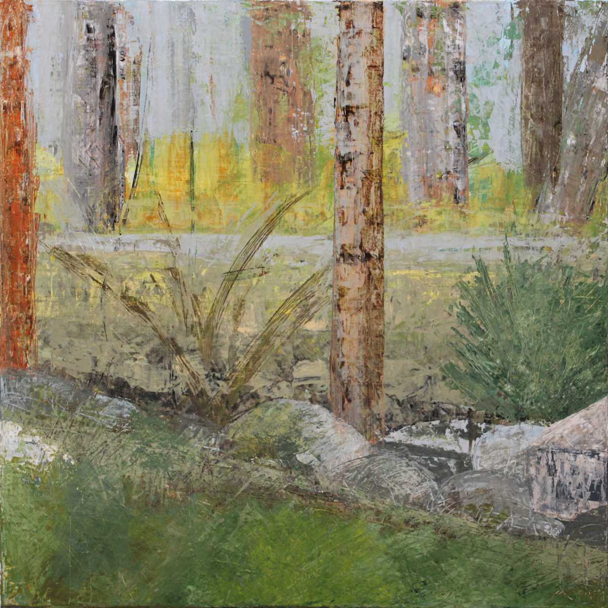 Outside My Room by Susan G Stewart 