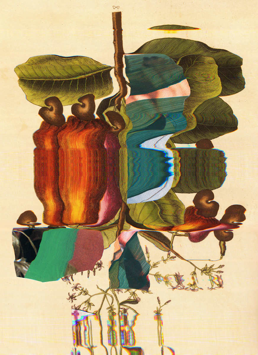 Caju by Jordan Martins, Image 6.