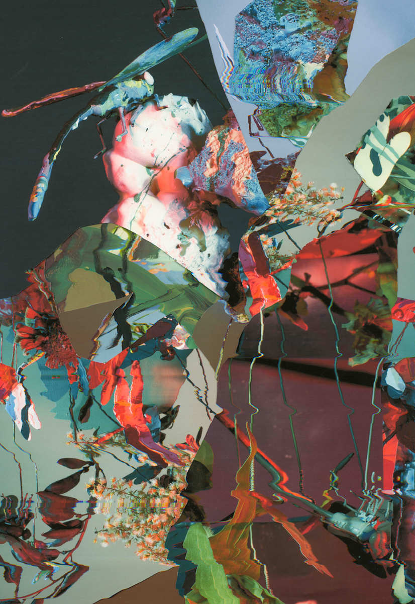 Phenotype 227 by Jordan Martins, Image 9.
