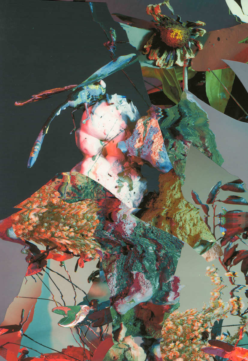 Phenotype 229 by Jordan Martins 