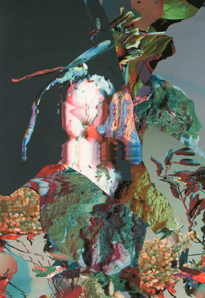 Phenotype 232 by Jordan Martins 