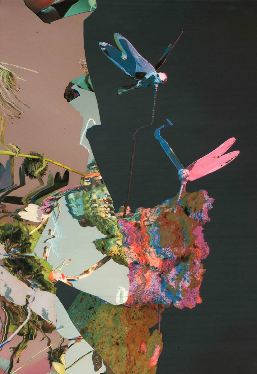 Phenotype 235 by Jordan Martins 