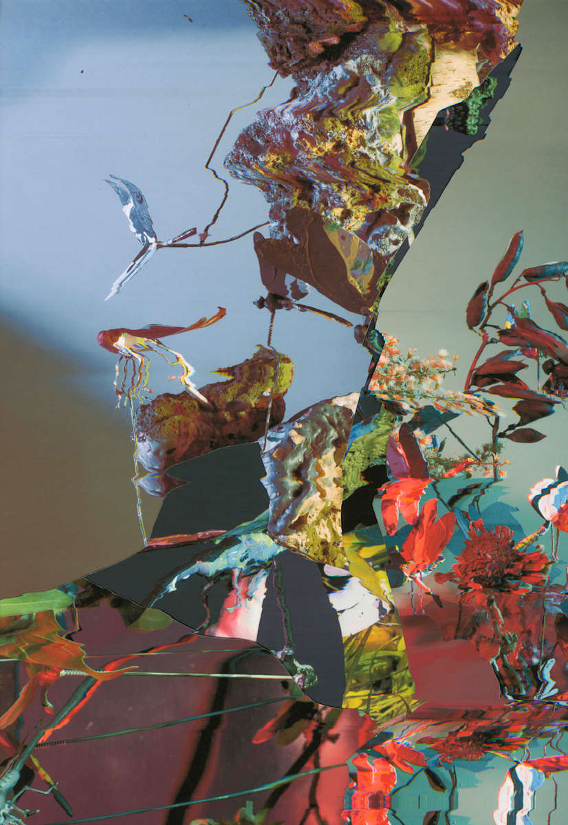 Phenotype 239 by Jordan Martins 