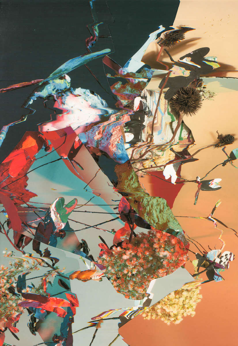 Phenotype 242 by Jordan Martins 