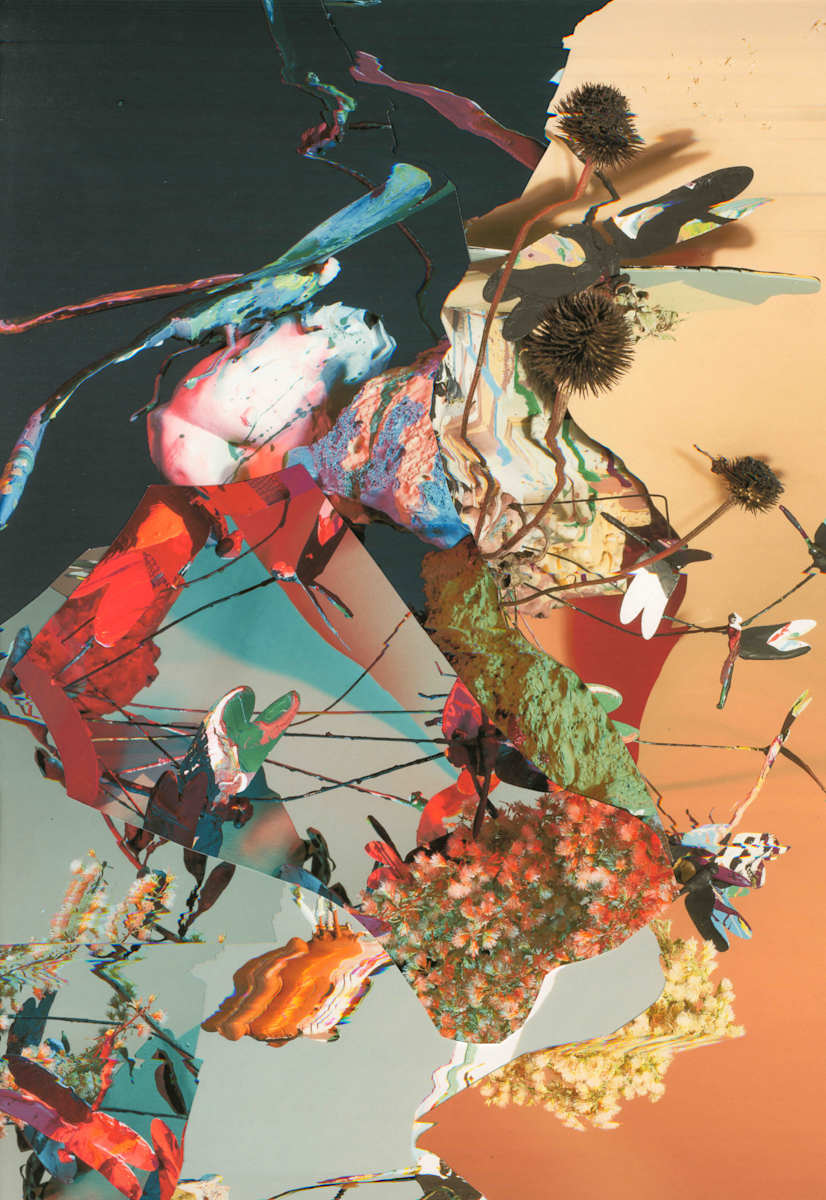 Phenotype 243 by Jordan Martins 