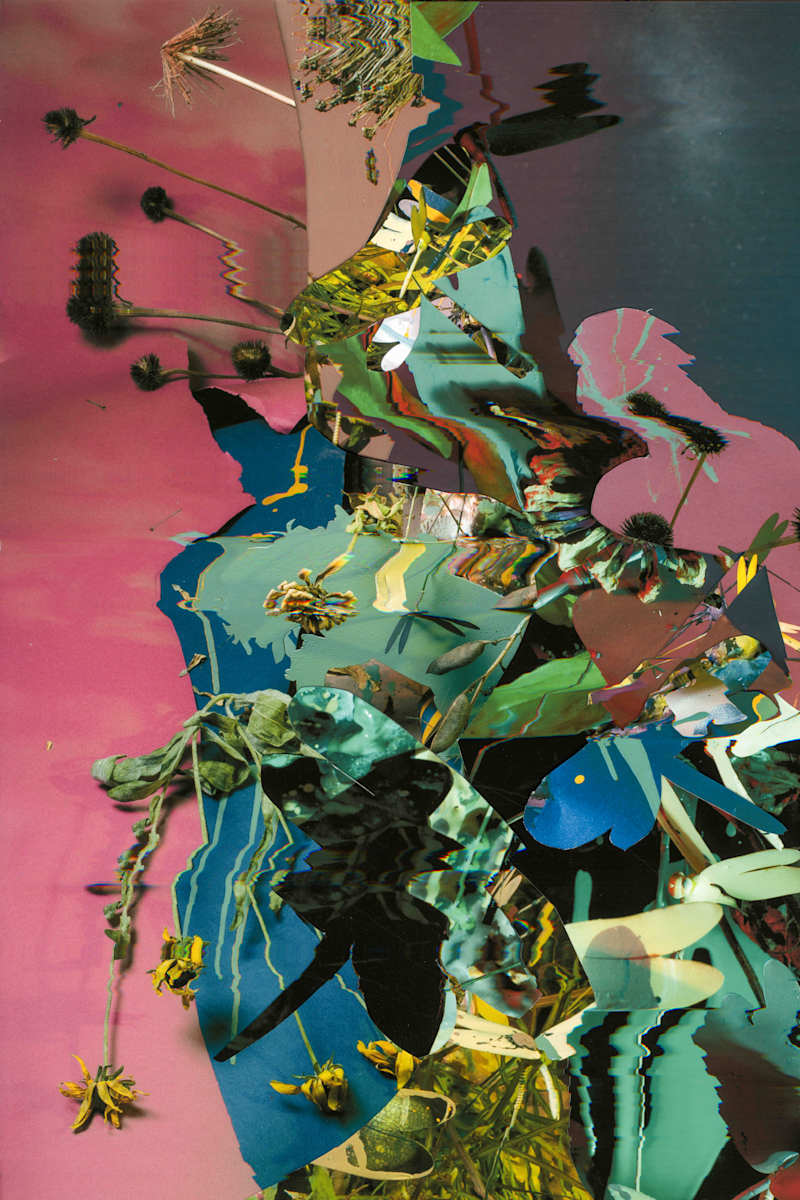 Phenotype 185 by Jordan Martins 