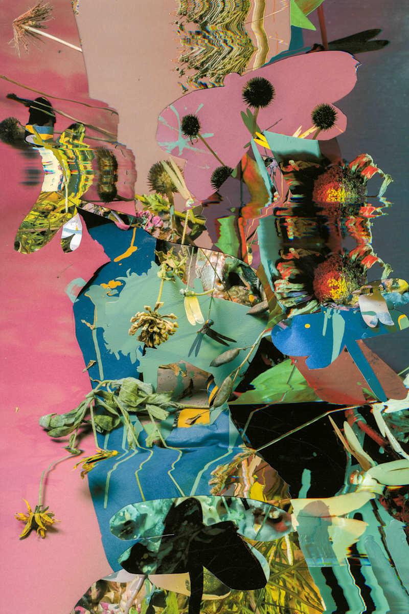 Phenotype 186 by Jordan Martins 