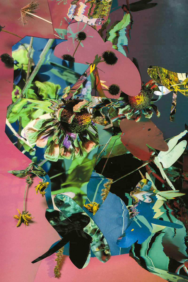 Phenotype 187 by Jordan Martins 