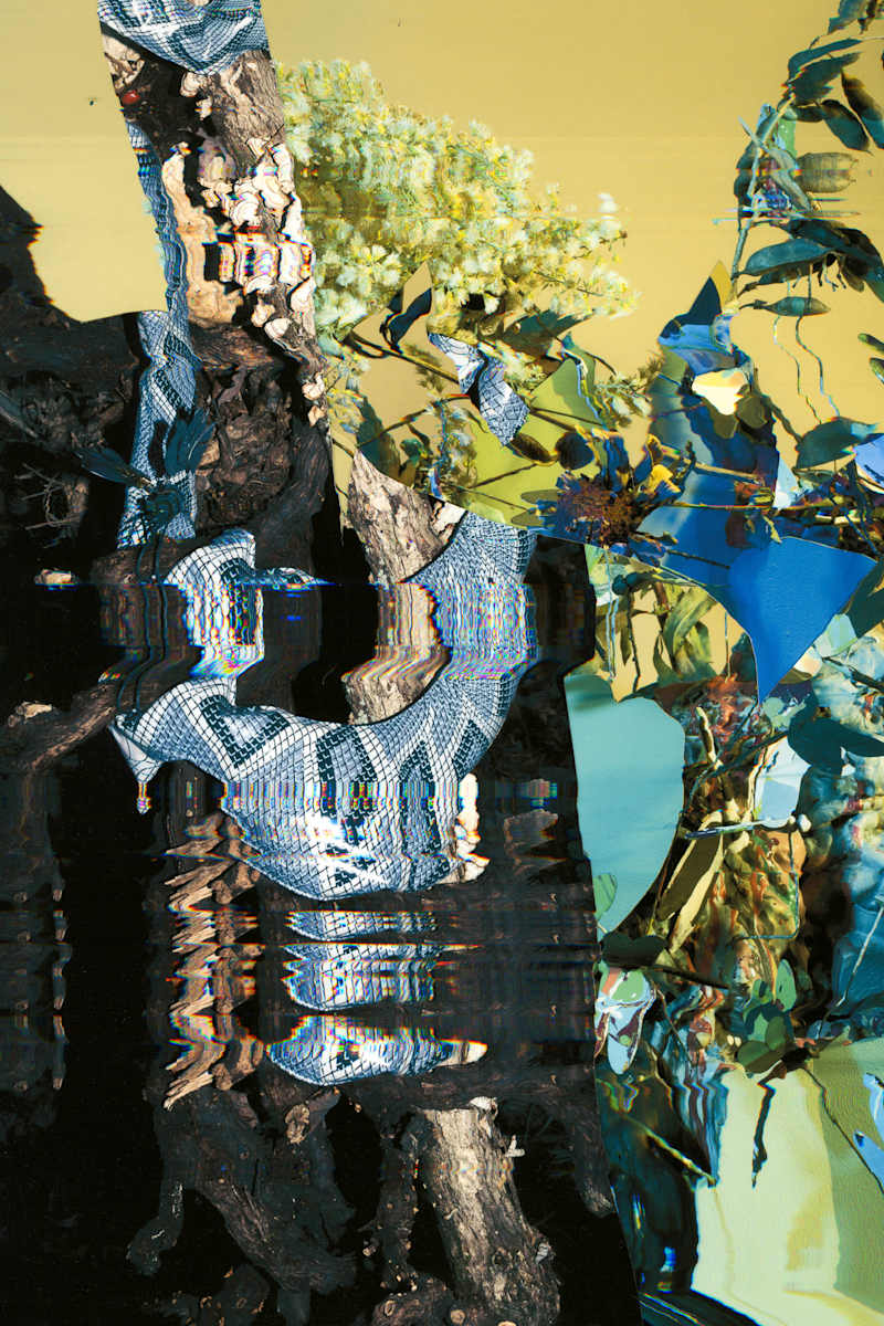Phenotype 199 by Jordan Martins, Image 12.