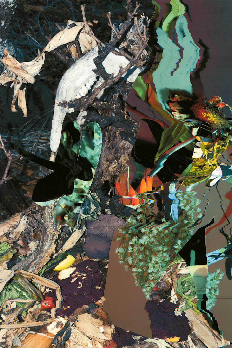 Phenotype 203 by Jordan Martins 