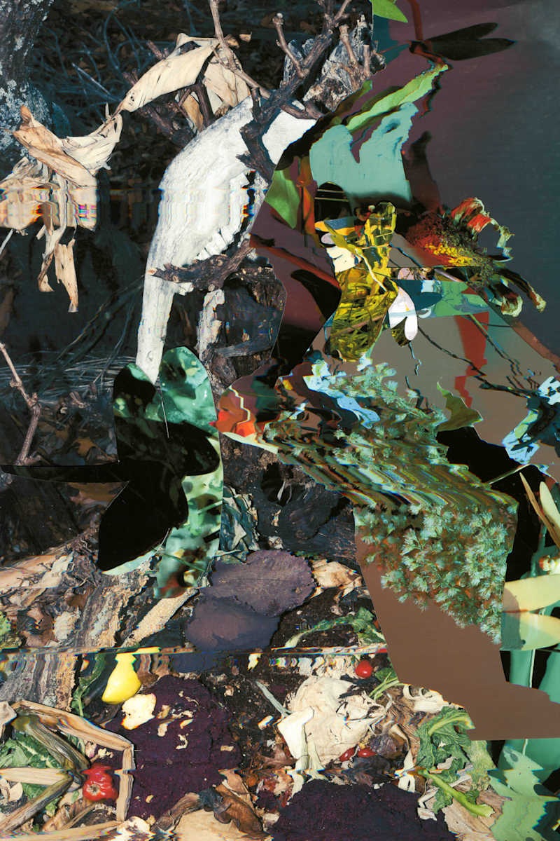 Phenotype 200 by Jordan Martins 