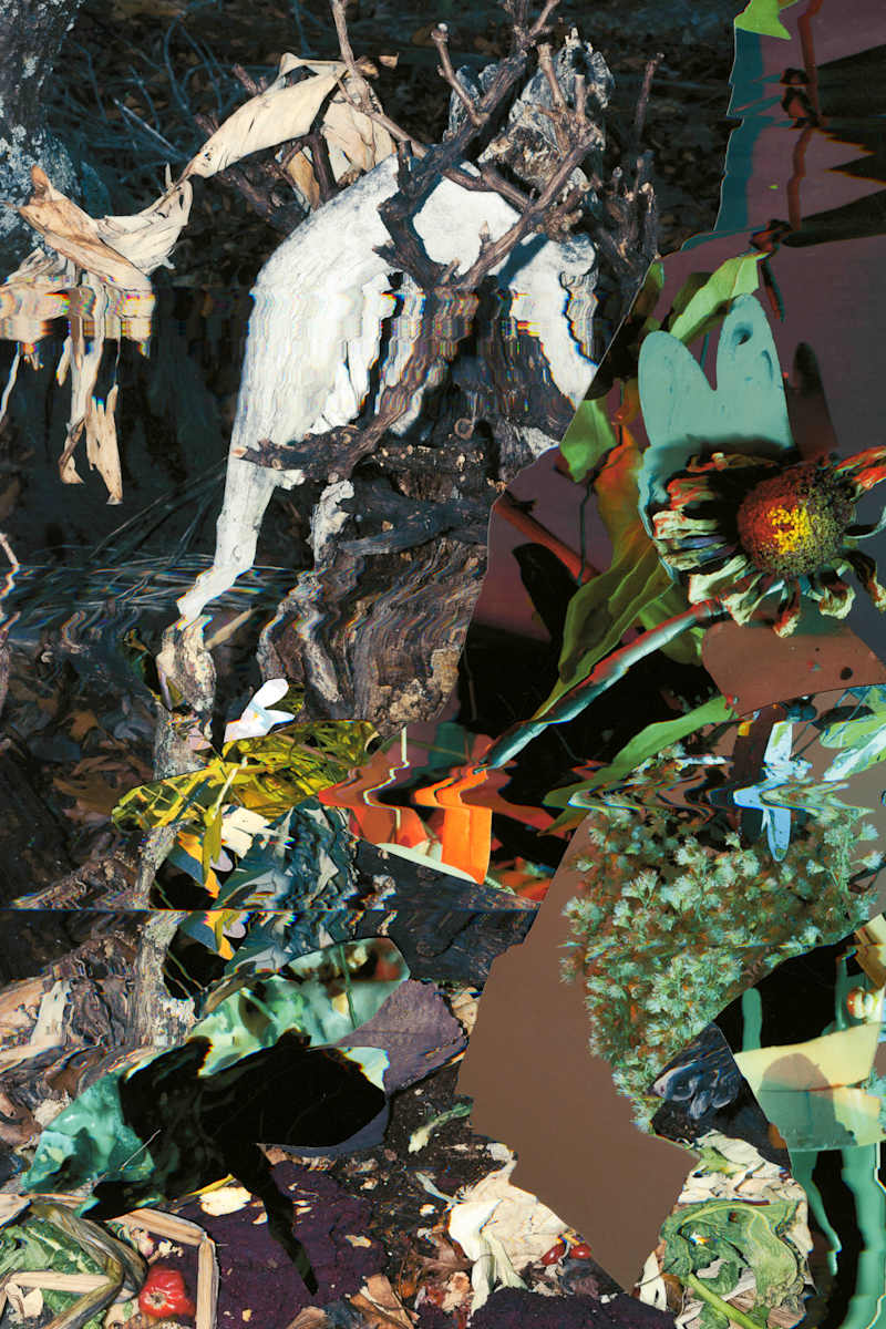 Phenotype 204 by Jordan Martins 