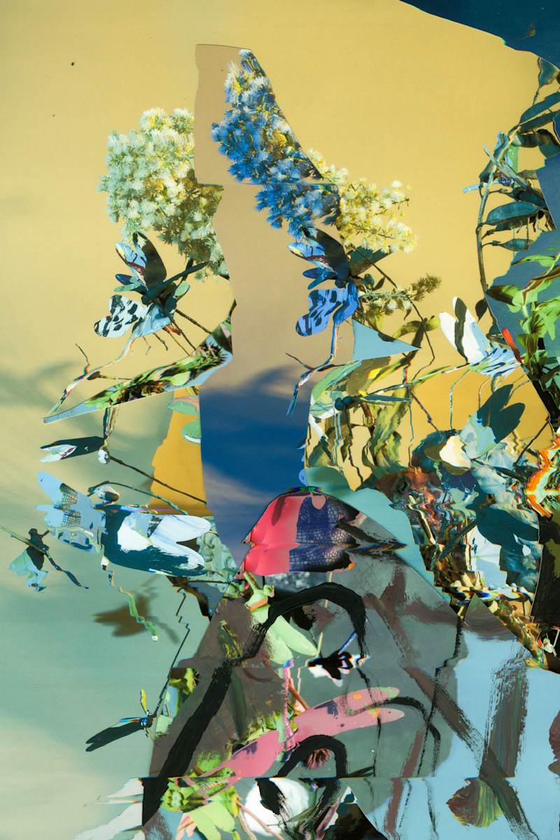 Phenotype 211 by Jordan Martins 