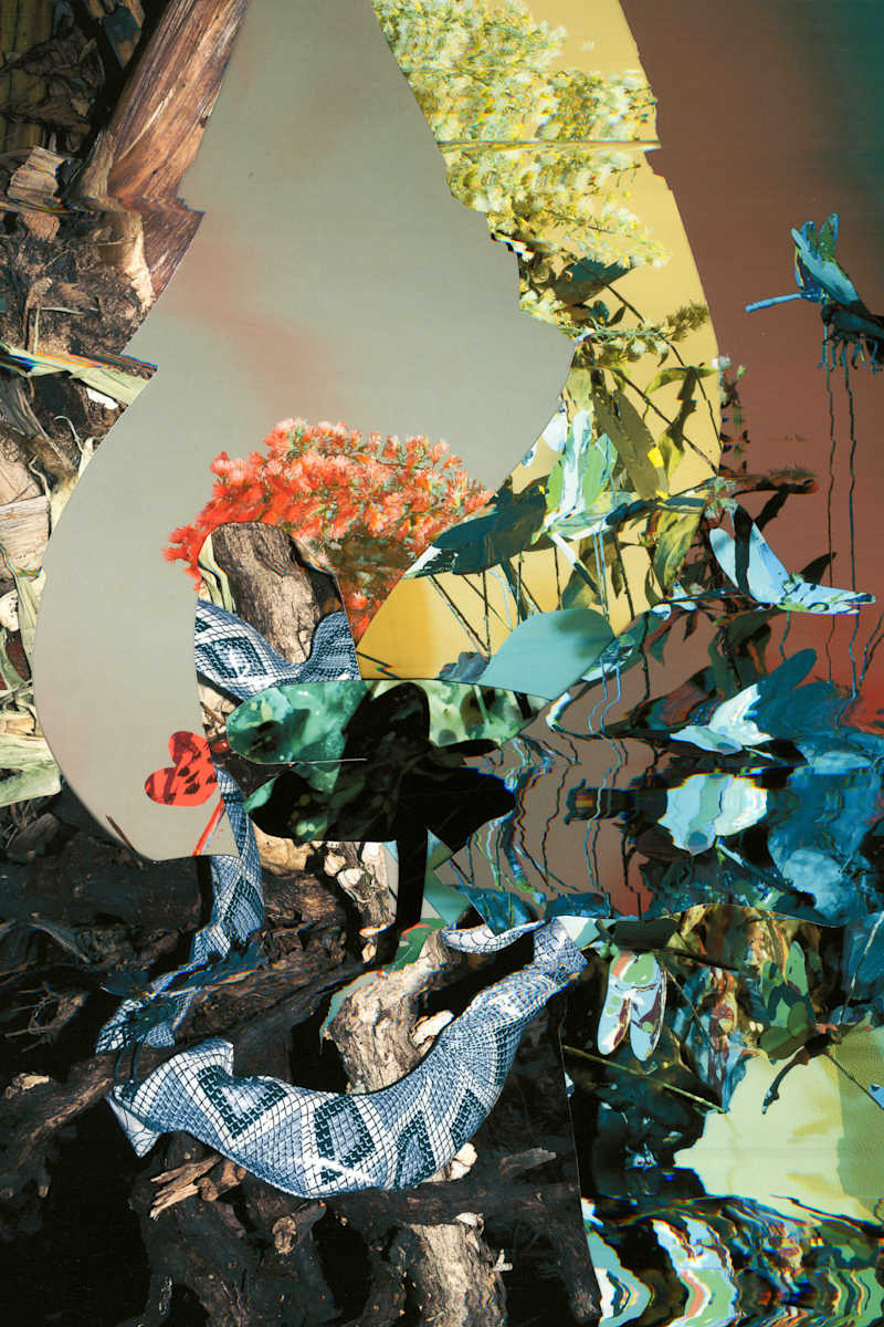 Phenotype 217 by Jordan Martins, Image 1.