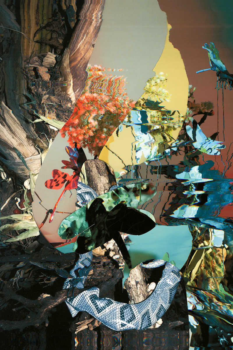 Phenotype 218 by Jordan Martins, Image 2.