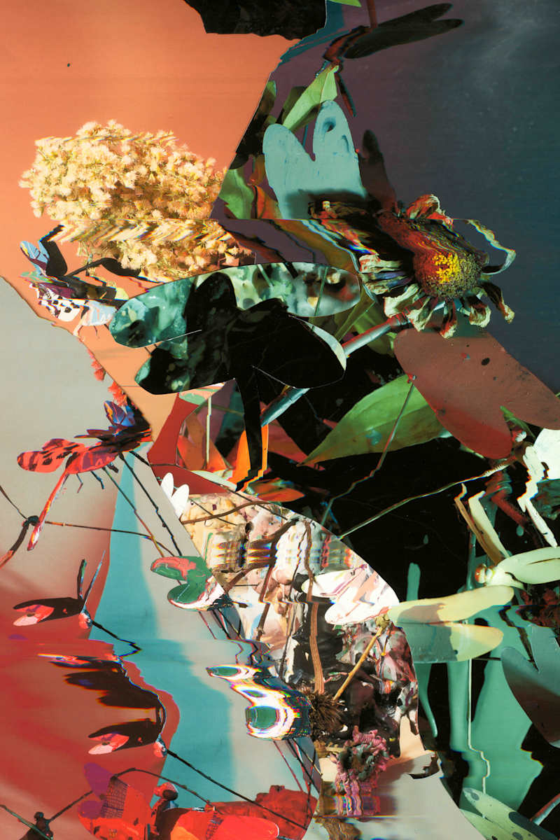 Phenotype 220 by Jordan Martins, Image 5.