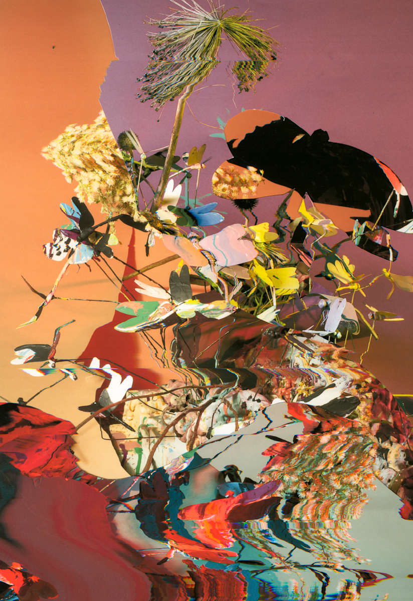 Phenotype 222 by Jordan Martins 