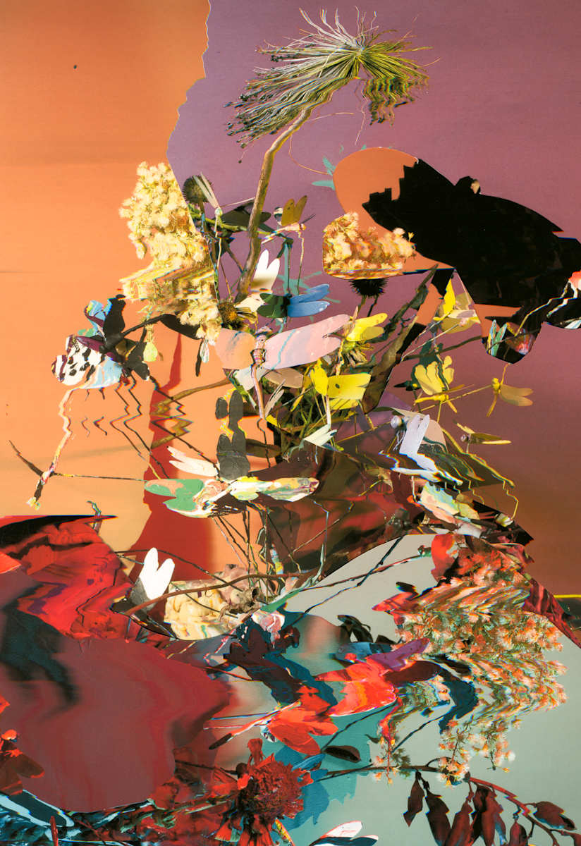 Phenotype 225 by Jordan Martins 