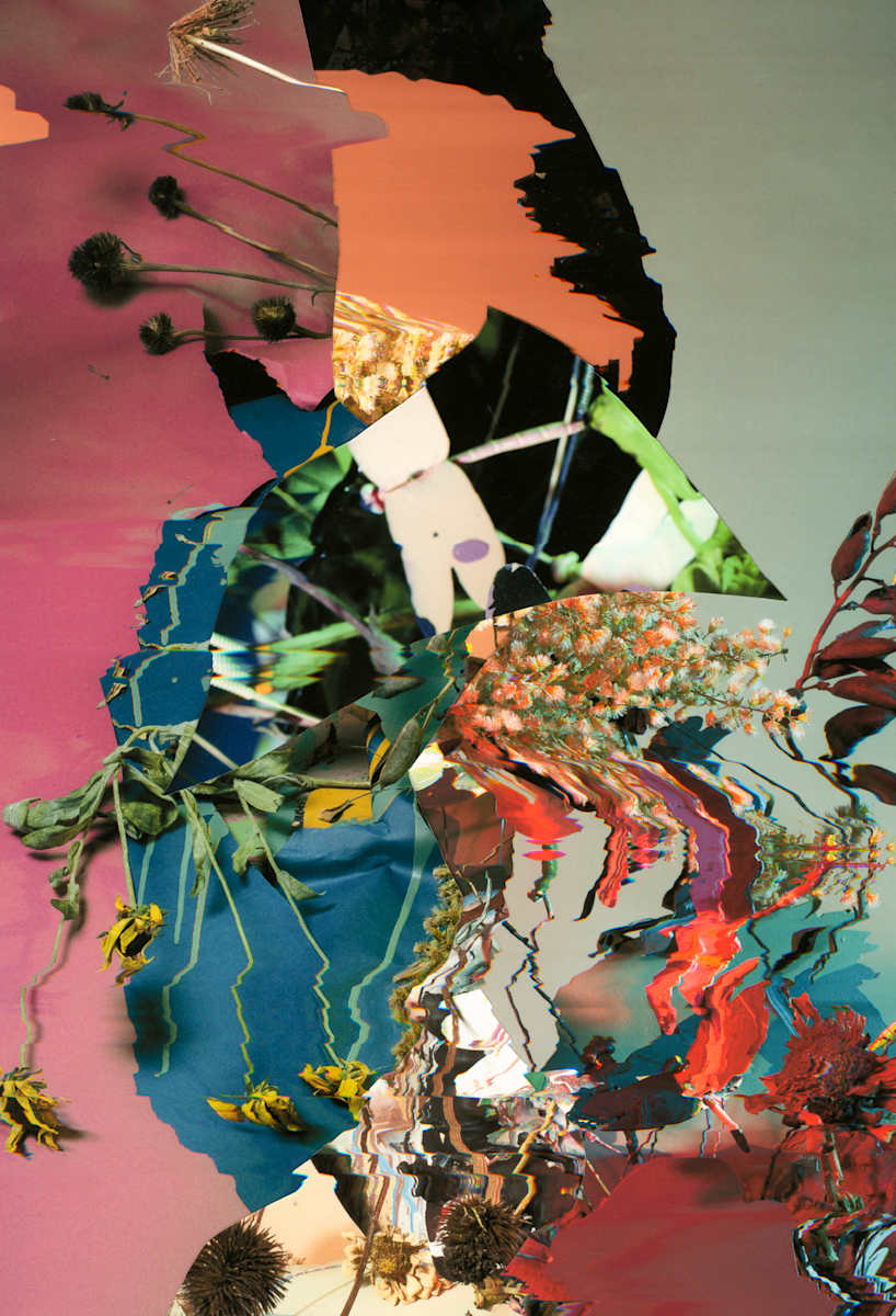 Phenotype 206 by Jordan Martins 