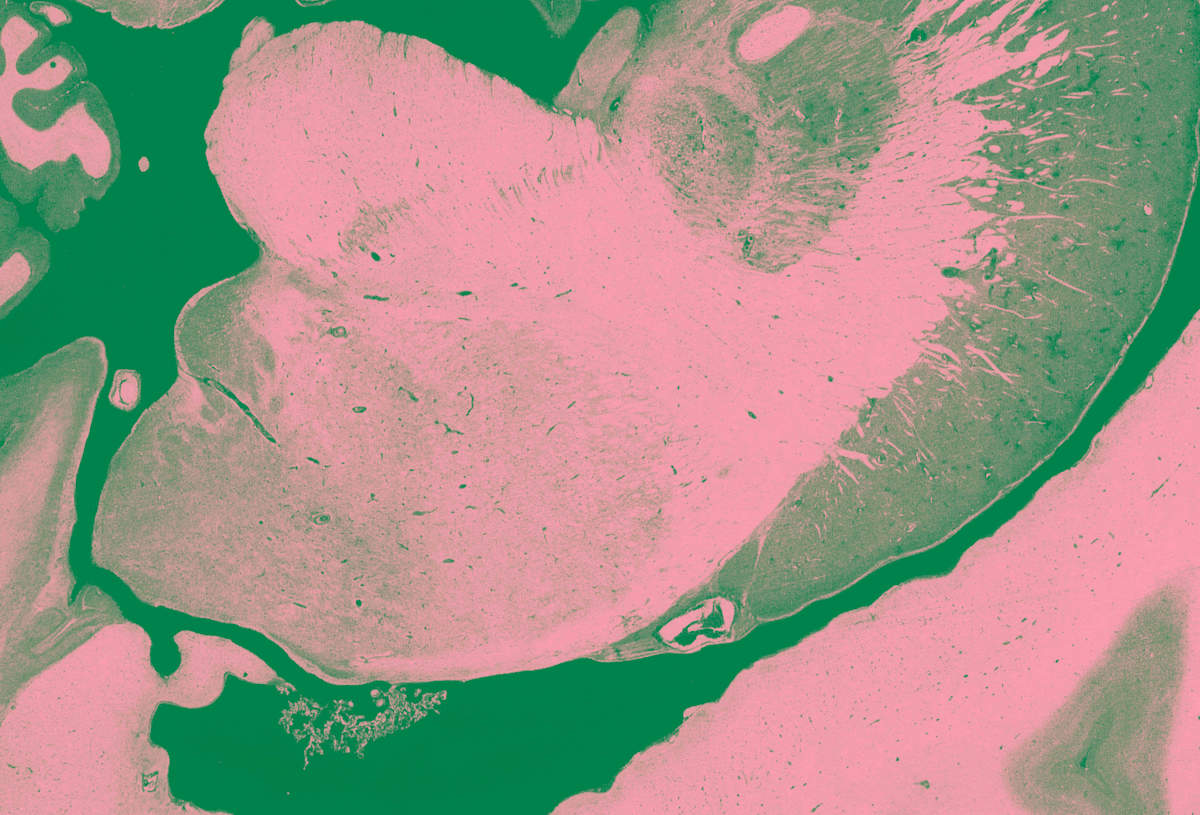 2026_014 by Jordan Martins, Image 15.