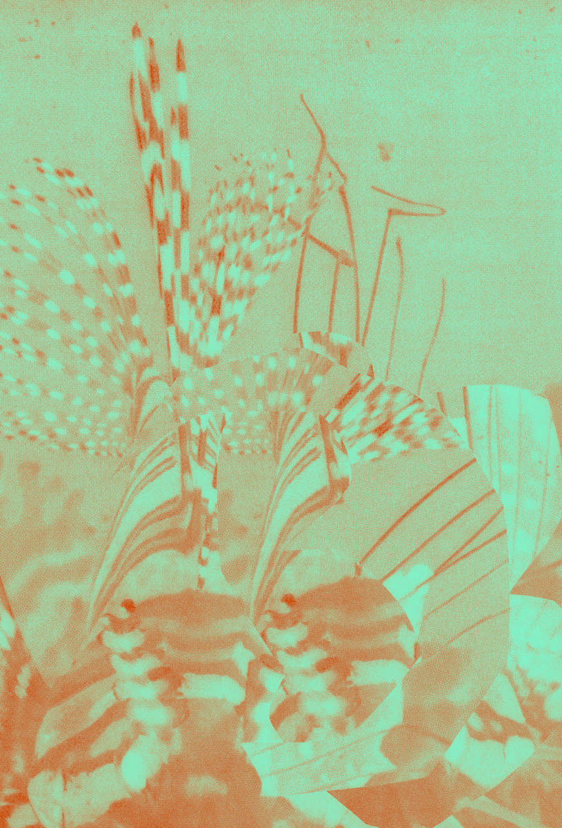 2026_015 by Jordan Martins, Image 14.