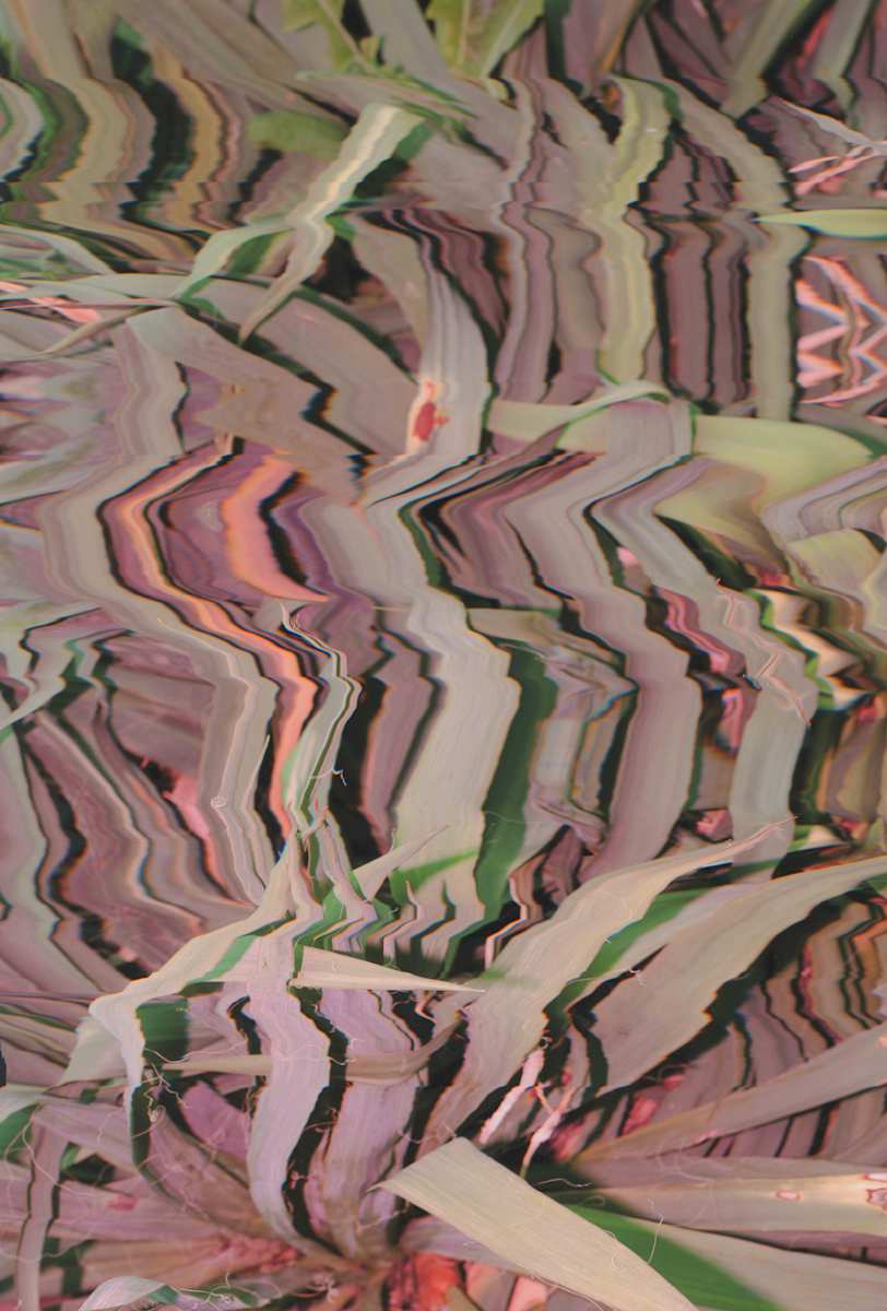 2026_041 by Jordan Martins, Image 11.