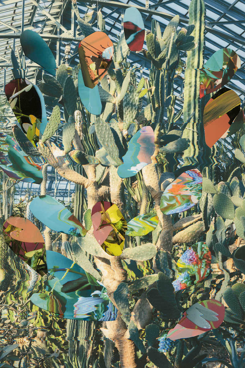 Garfield Park Collage by Jordan Martins, Image 9.