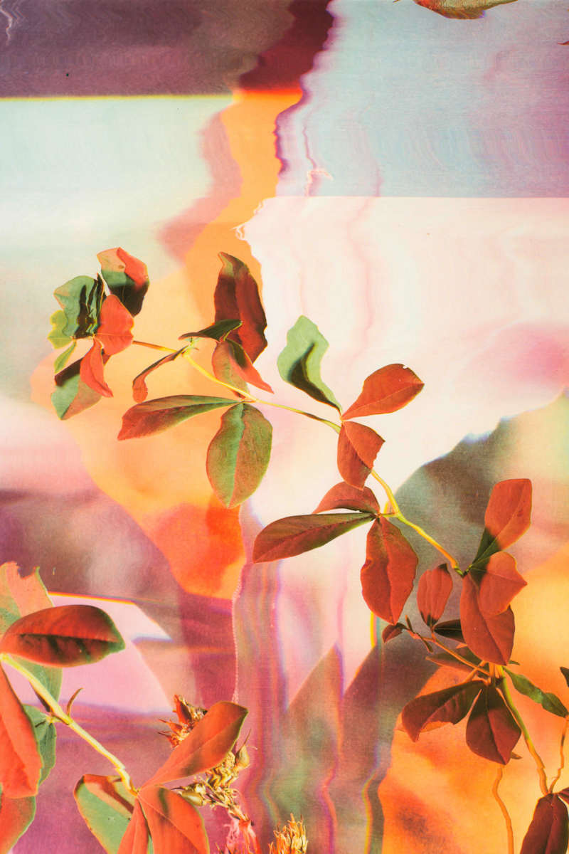 Festoon I by Jordan Martins, Image 10.