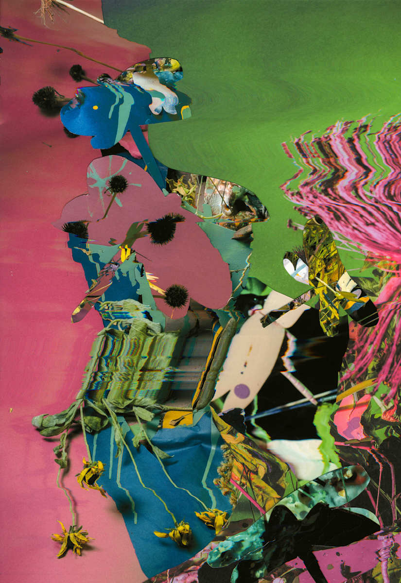 Phenotype 192 by Jordan Martins 