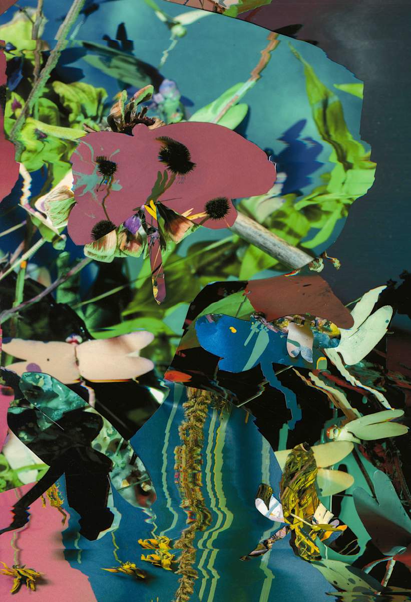 Phenotype 195 by Jordan Martins, Image 6.