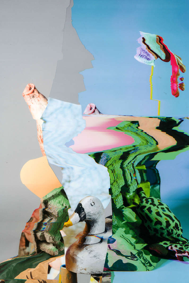 Phenotype 151 by Jordan Martins 