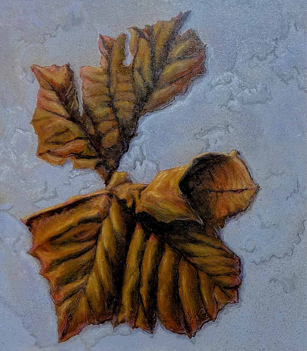 My Former Leaf by Timothy Griffith, Image 1.