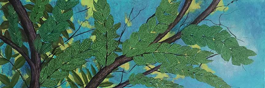 Branches by Timothy Griffith 