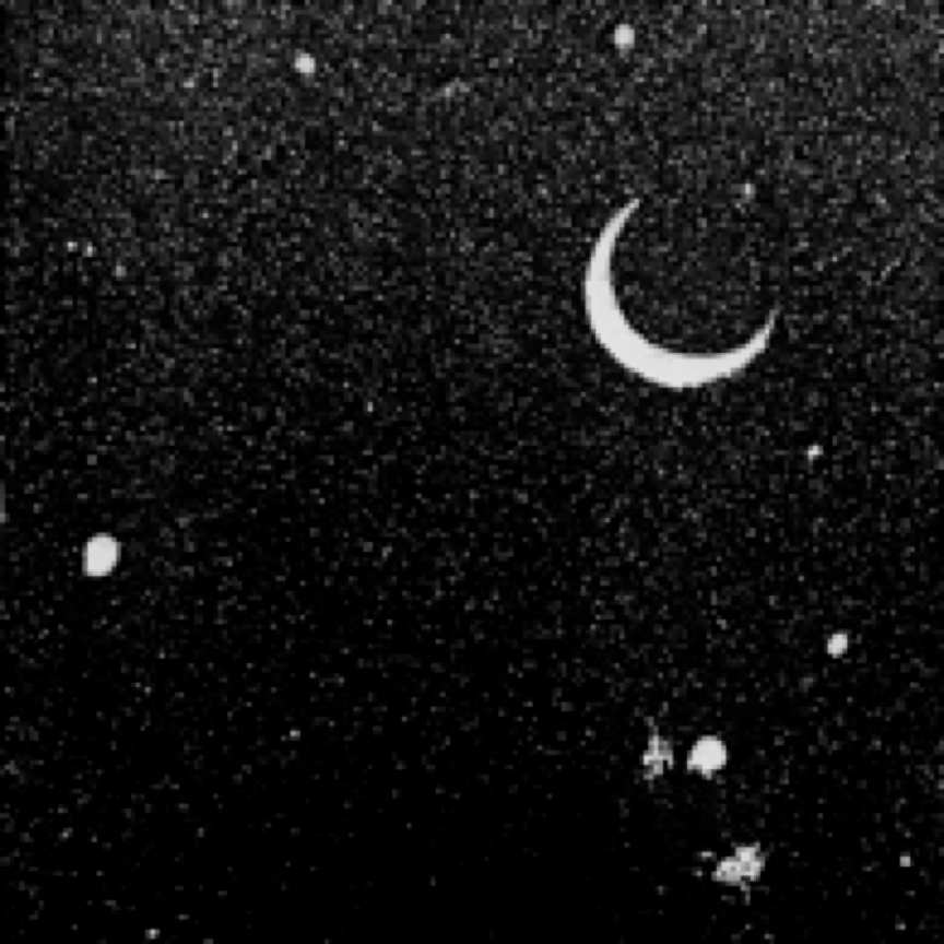 Stardust by Timothy Griffith, Image 6.