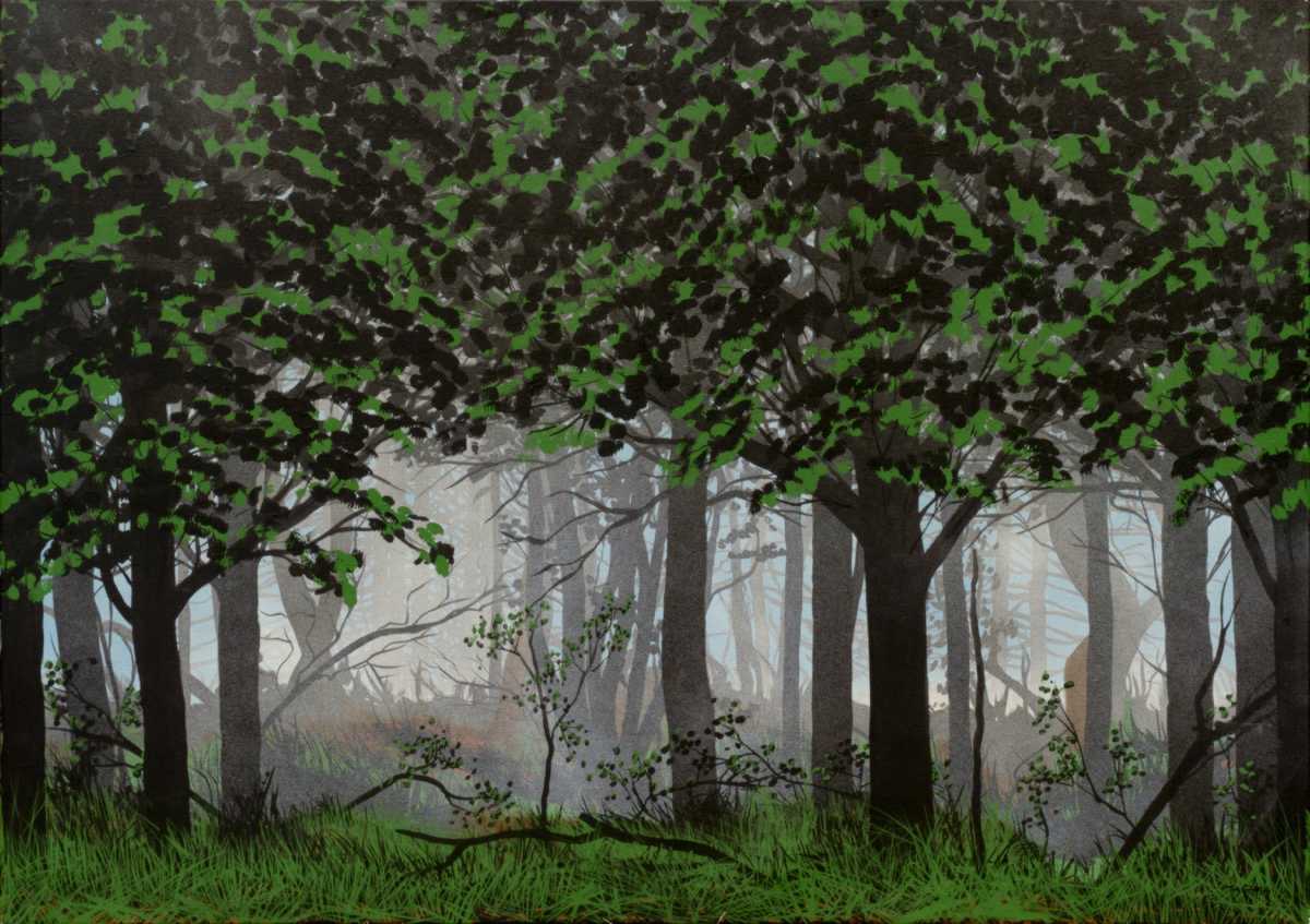 Woodland Fog by Timothy Griffith 