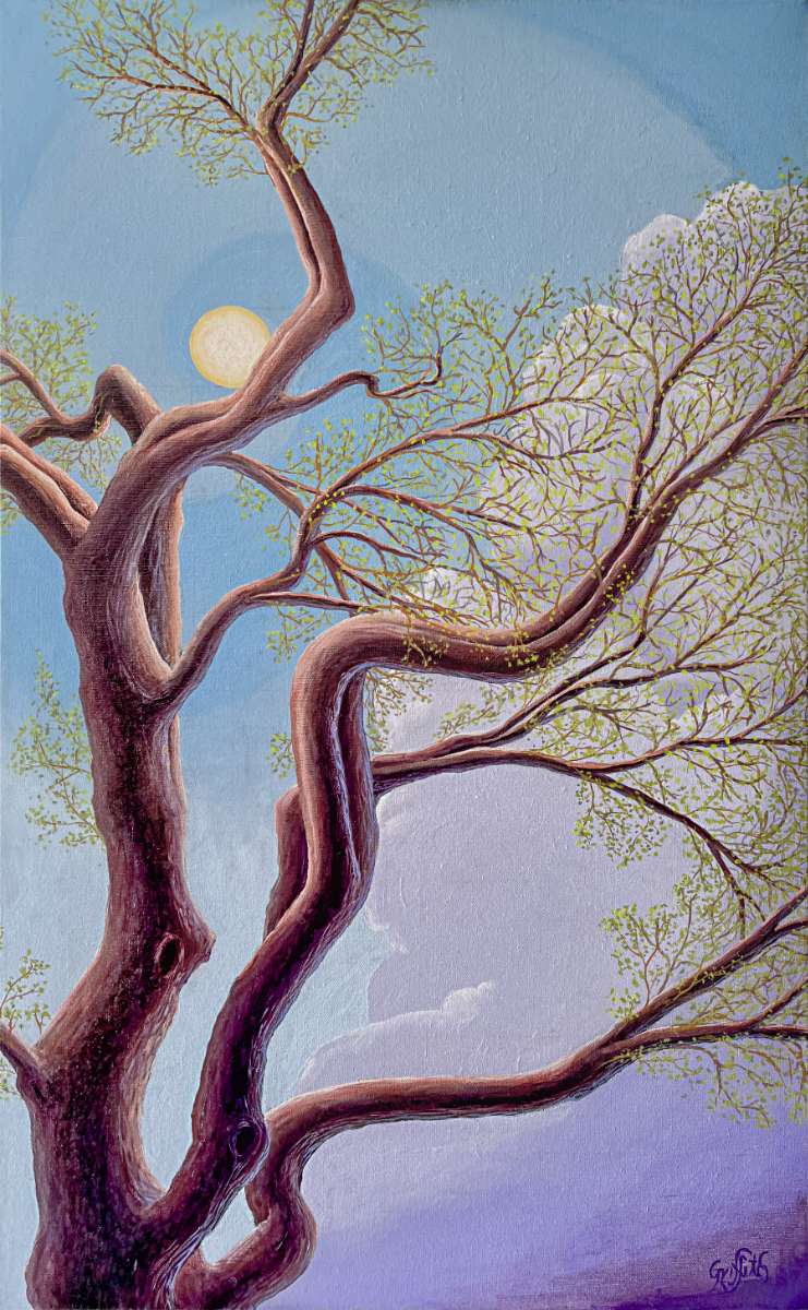 A Hint of Spring by Timothy Griffith 