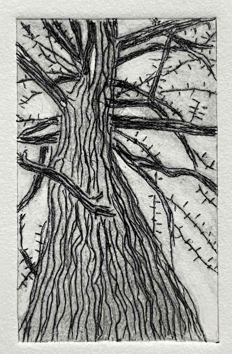 (Teeny Tiny) Gingko by MK Wynn 