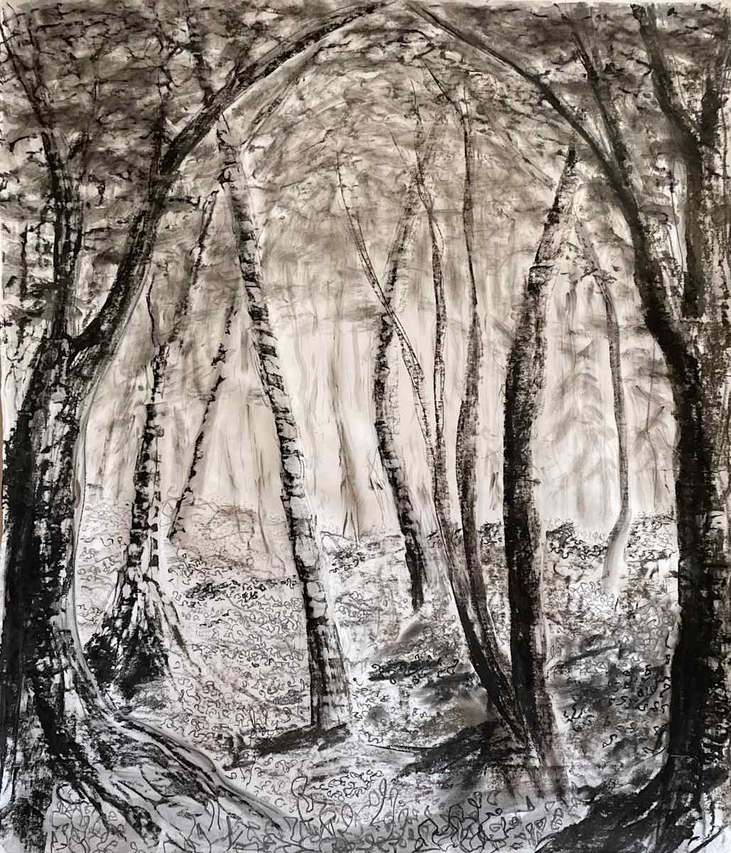 Cathedral Forest by MK Wynn 