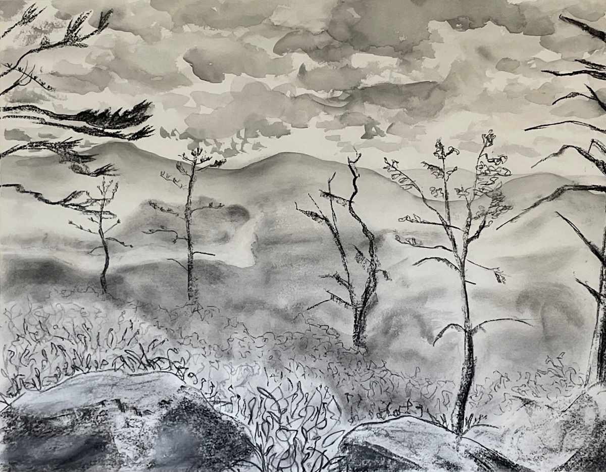 Catskills by MK Wynn 