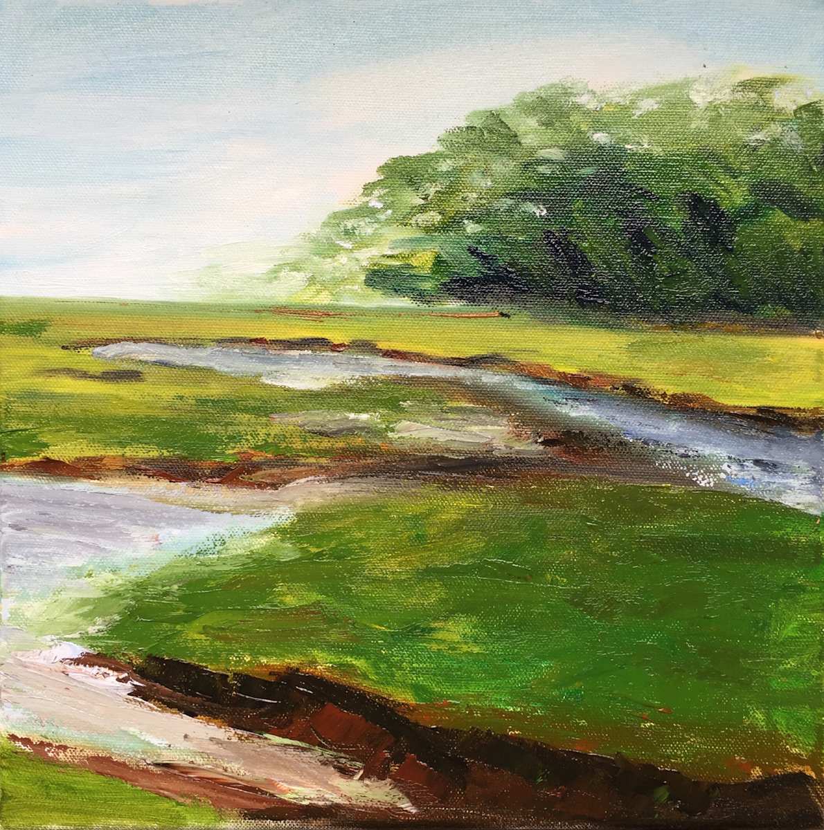 Truro Salt Marsh by MK Wynn 