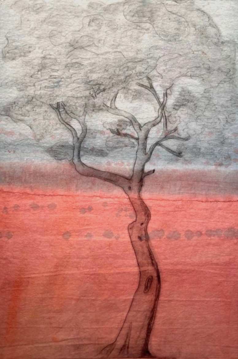 (Tree Portrait #10f) Scorched Earth by MK Wynn 